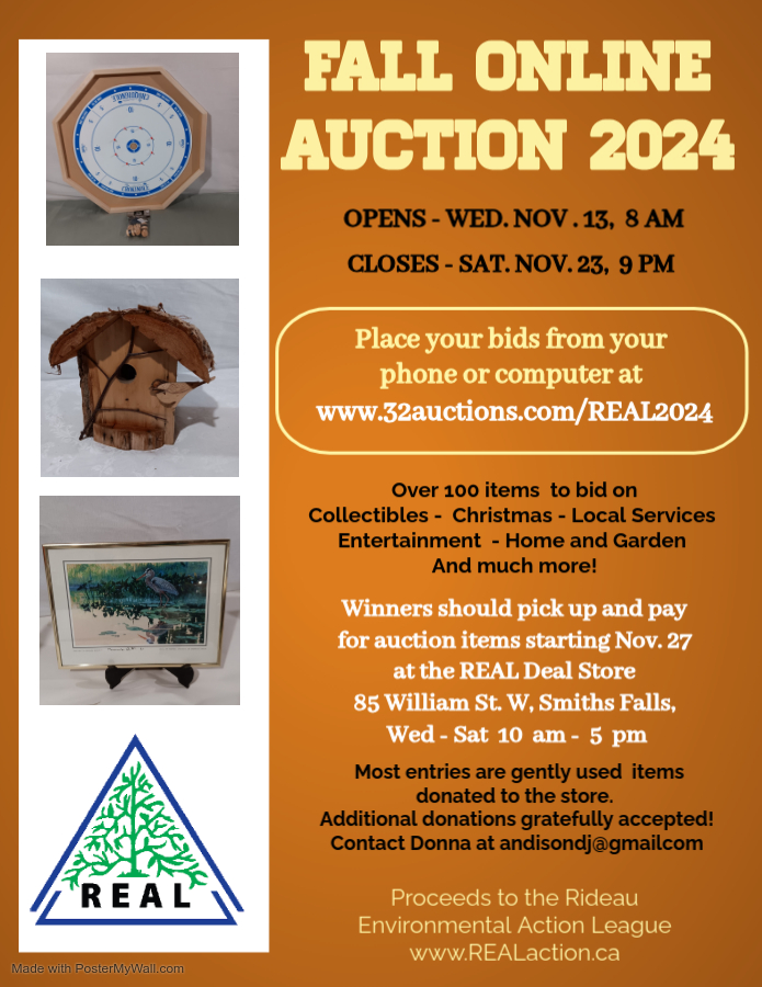 Online Auction 2024.jpg